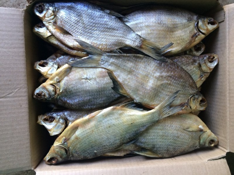 Вобла Fishka