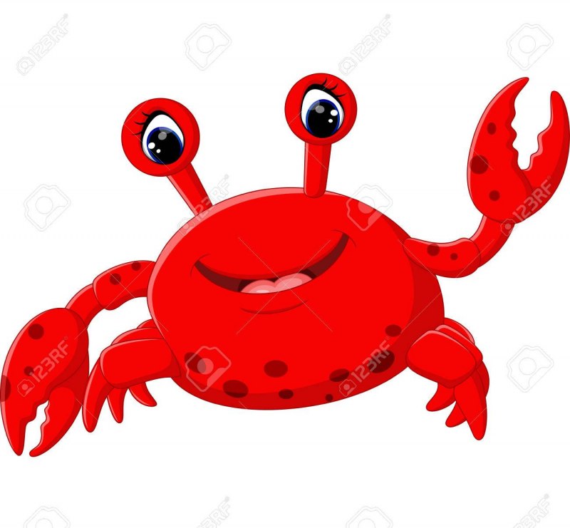 Frozen Softshell Crab это
