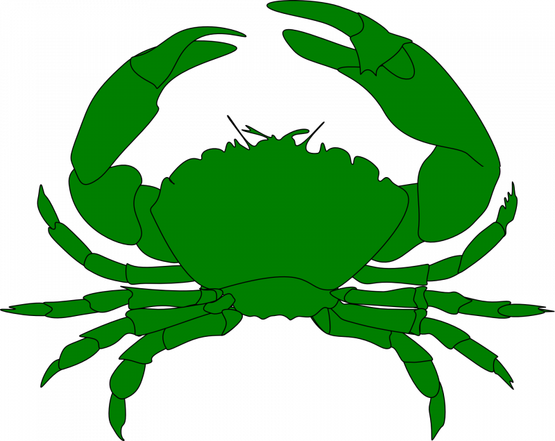Морской краб прозрачный