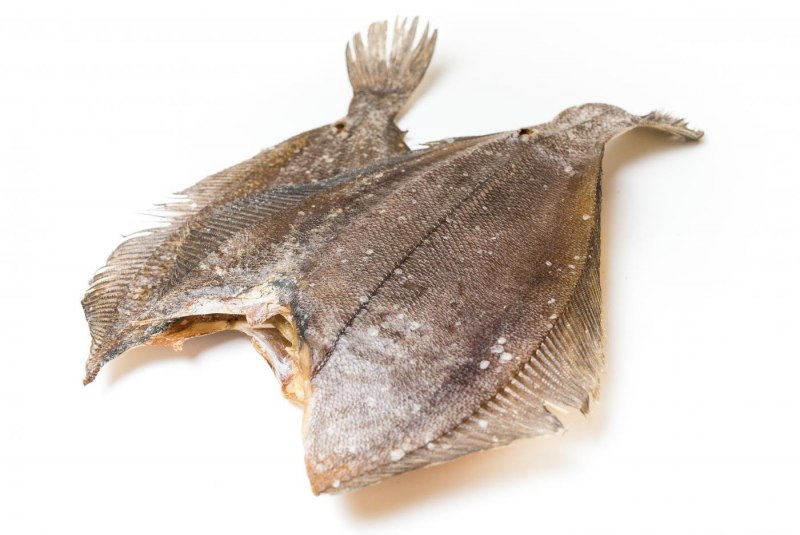 Ёрш рыба морской Мурманский