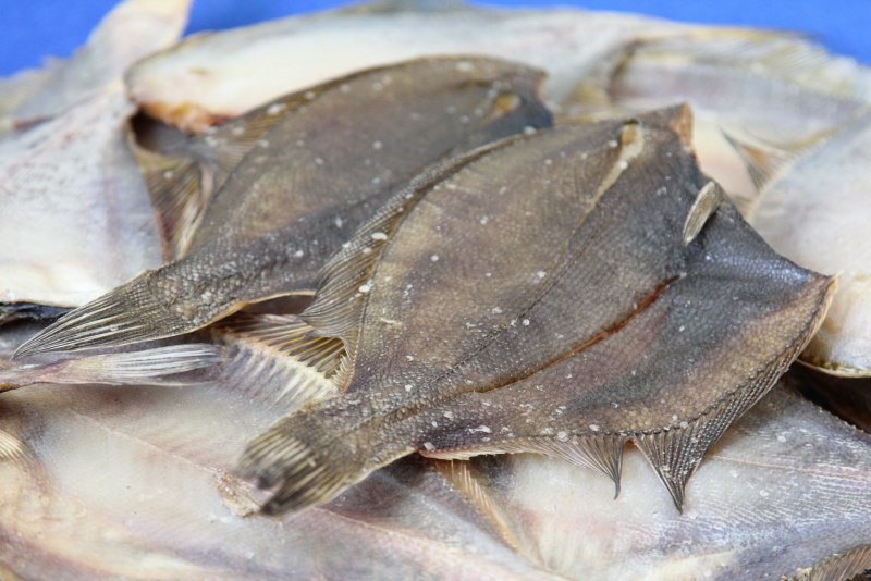 Ёрш рыба морской Мурманский