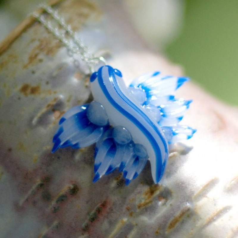 Nudibranch Blue Glaucus