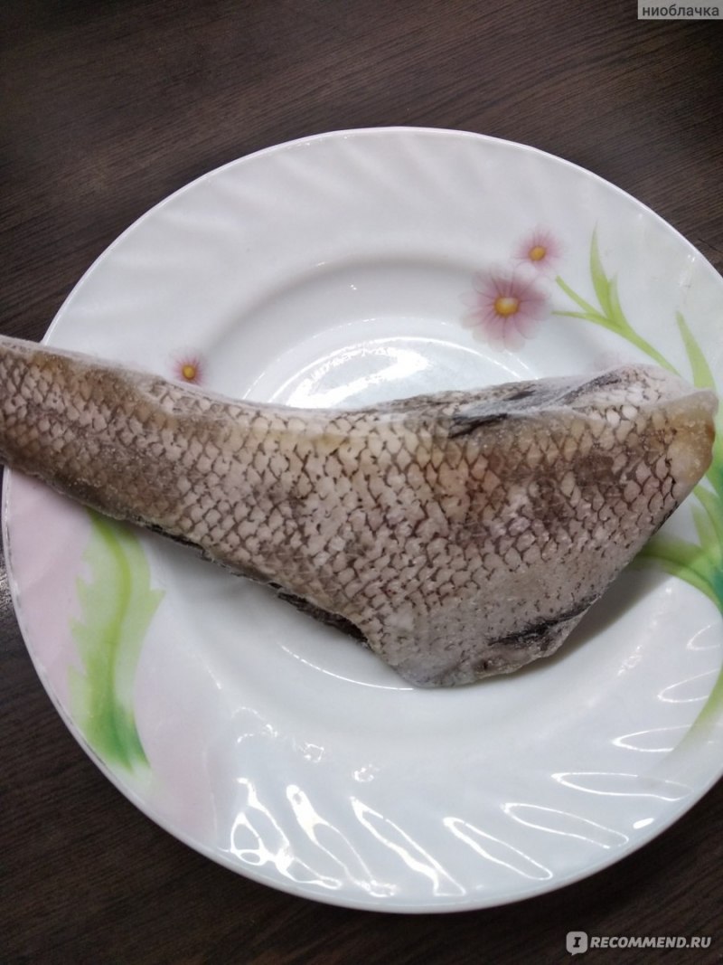 Гигантский макрурус