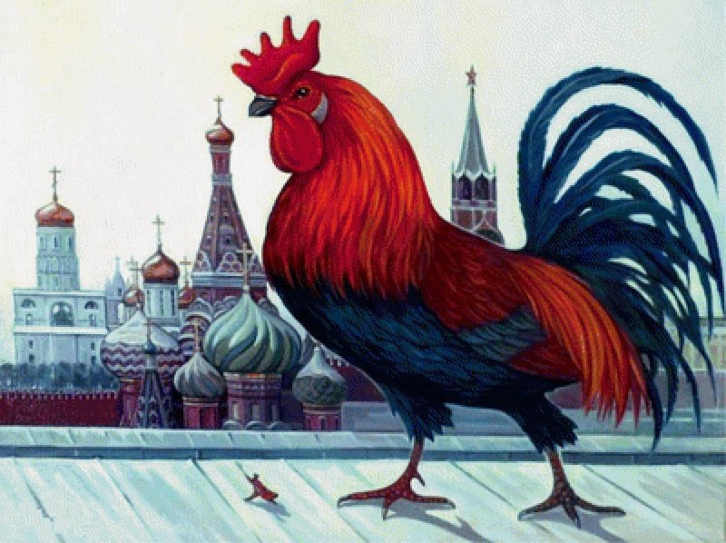 Рыбка петушок вуалевый красный