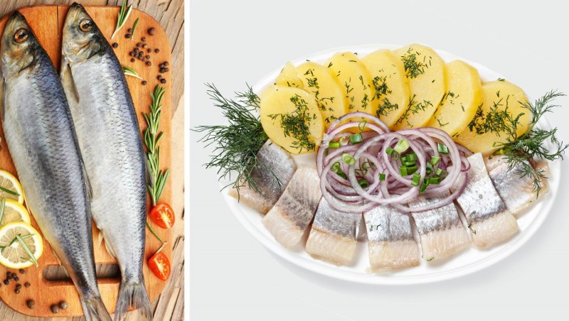 Хамса Черноморская