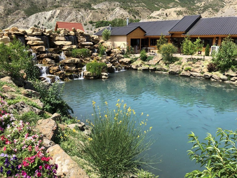 Осетровые рыбы в Каспийском море