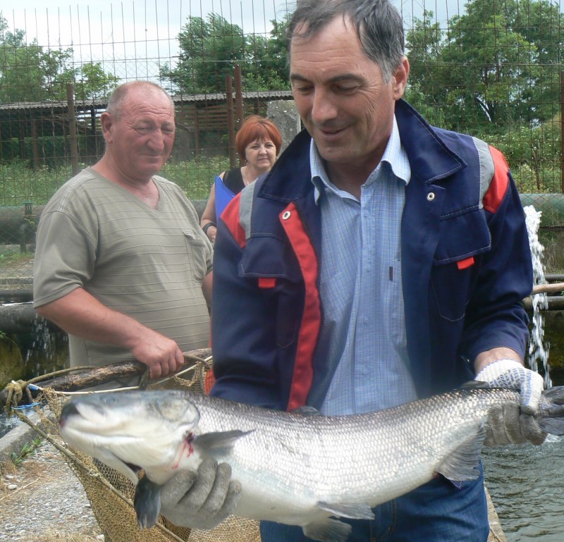 Чиркейское водохранилище рыбалка