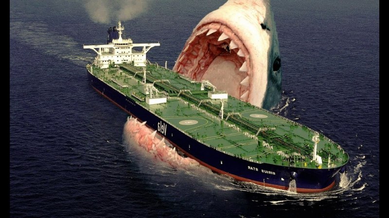 Carcharodon Megalodon