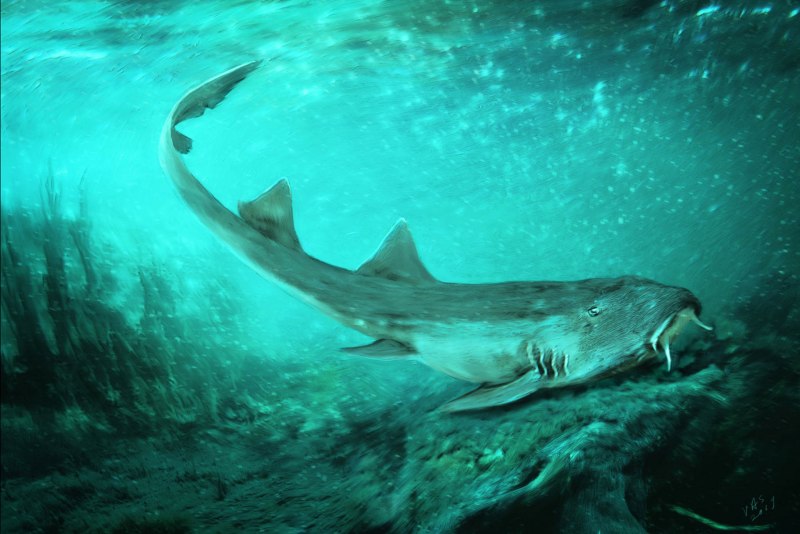 Latimeria menadoensis