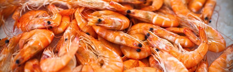 Морепродукты и беременность