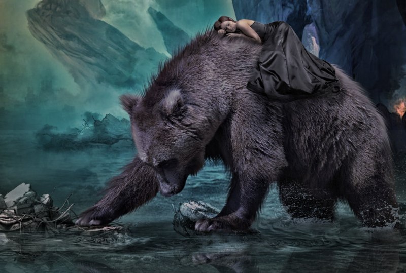 Тибетский бурый медведь Ursus arctos pruinosus