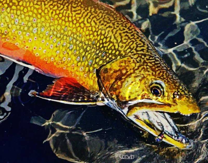 Мягкая приманка Fox Rage Replicant realistic Trout 7"/18cm цв. Super natural Tiger Trout (nsl1341)
