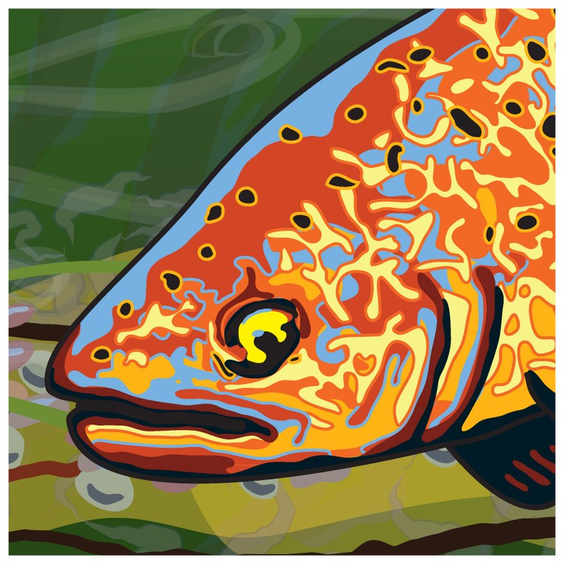 Fish Skin processing