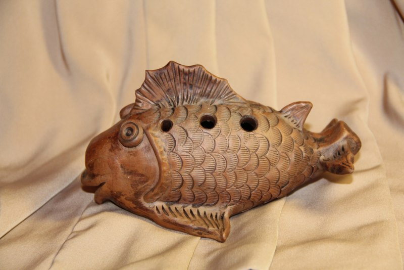 Canthigaster solandri