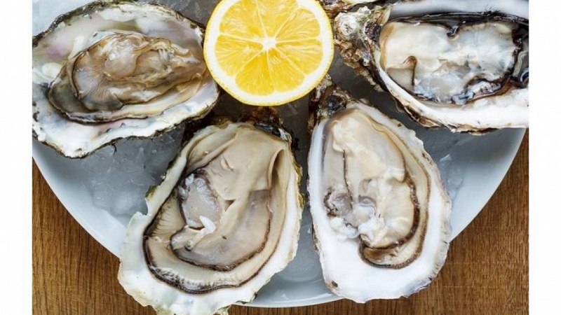 Тихоокеанская Устрица Crassostrea Gigas