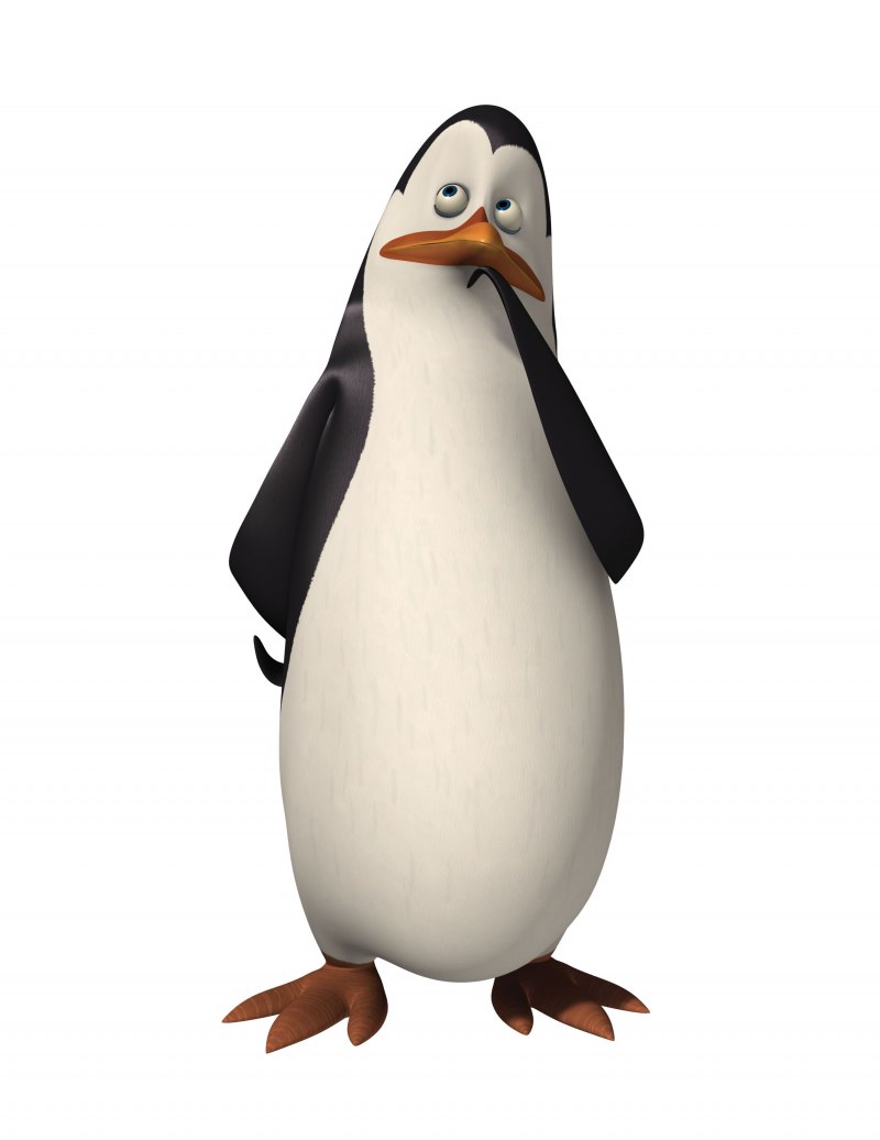 Ковальский пингвин (59 фото)