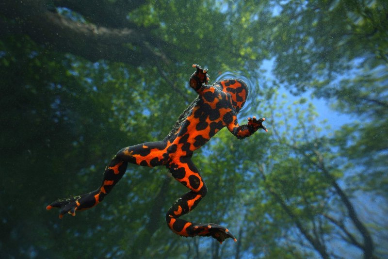 Фотоконкурс самая красивая Страна 2021 победители