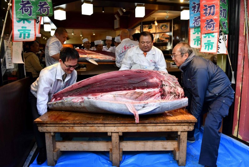 Тунец Yellowfin