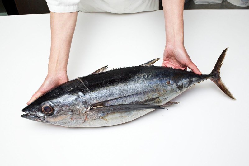 Тунец Bluefin