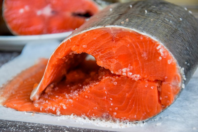 Pink Salmon горбуша - Oncorhynchus gorbuscha
