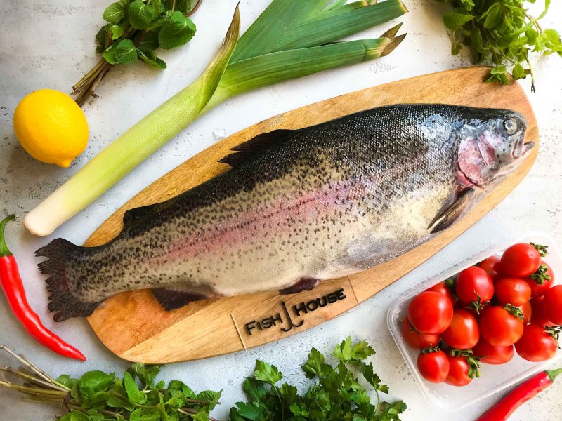 Морская форель кумжа
