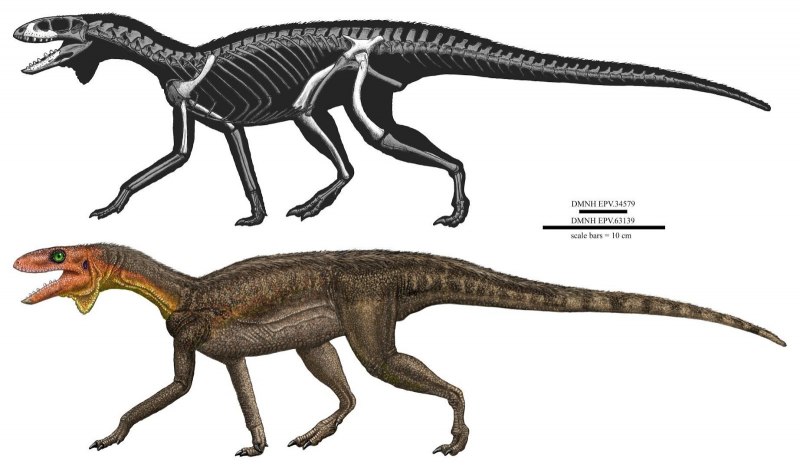 Utahraptor динозавр
