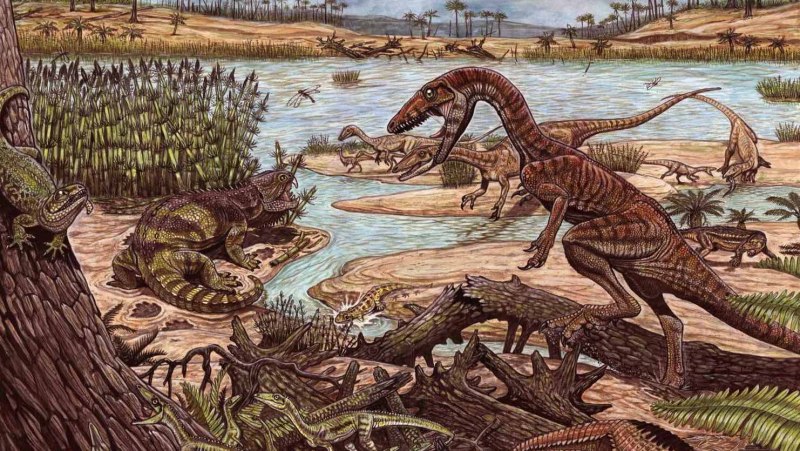 Carnotaurus sastrei skeletal