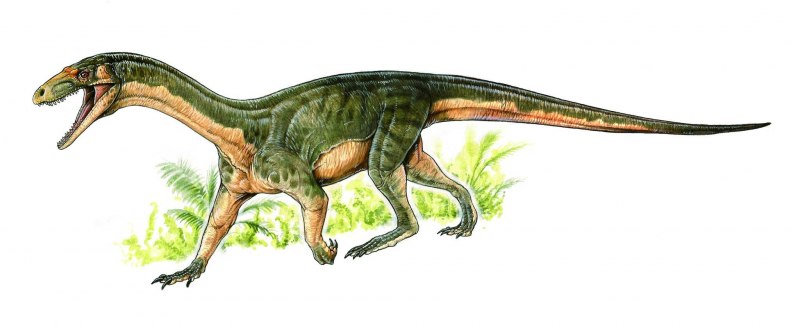 Herbivore Dinosaurs