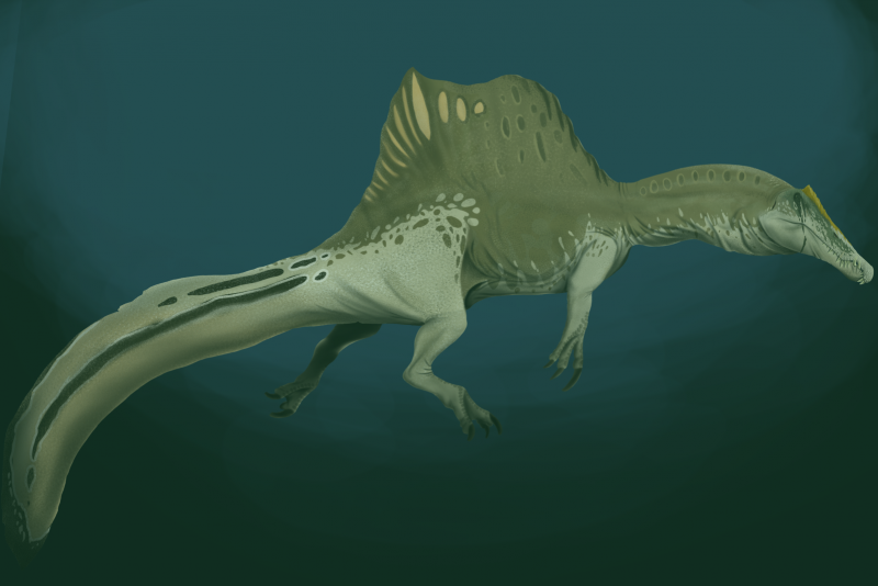 Pachyrhinosaurus lakustai