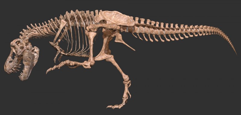 Tyrannosaurus Rex зеленый