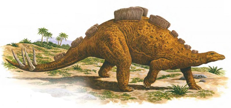 Suskityrannus HAZELAE