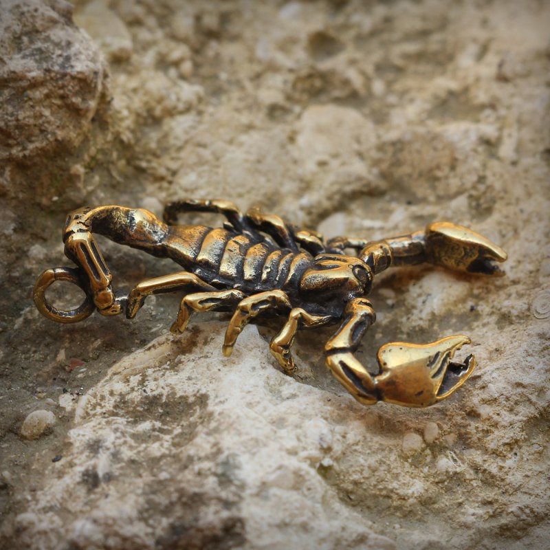 Euscorpius flavicaudis
