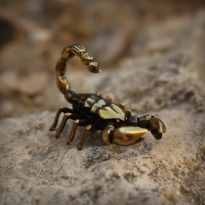 Скорпион Microtityus Minimus