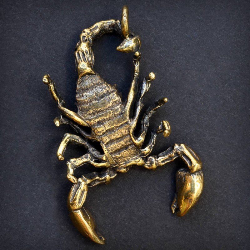 Leiurus quinquestriatus