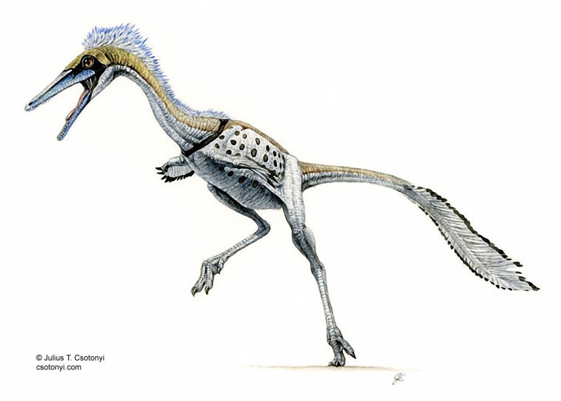 Mononykus Dinosaur