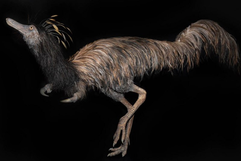 Динозавр Lourinhanosaurus