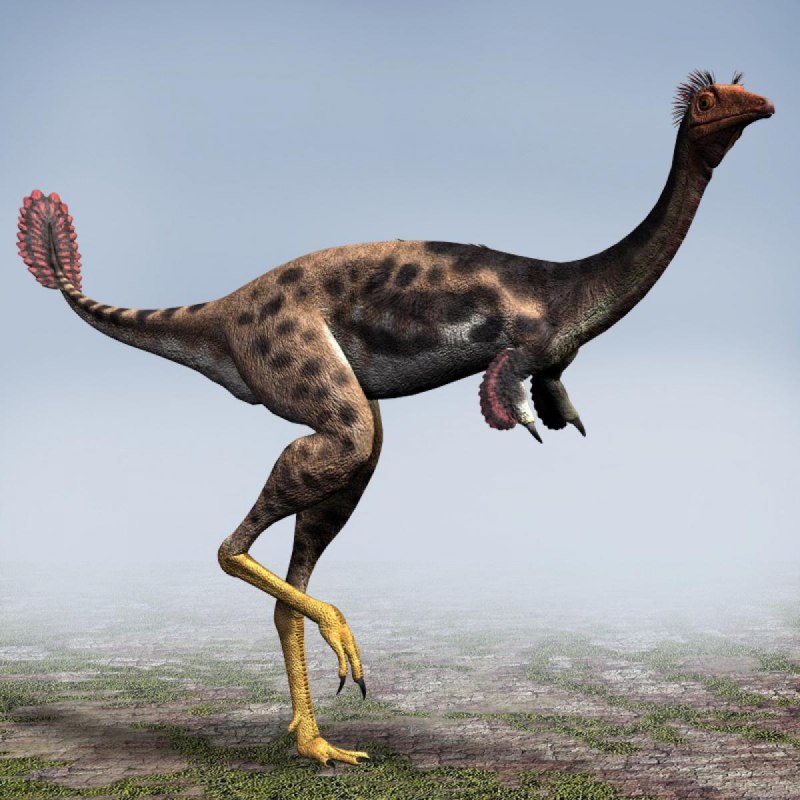 Mononykus olecranus
