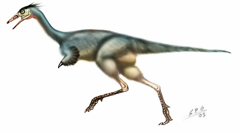 Mononykus olecranus