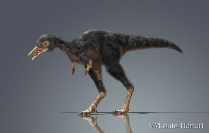 Mononykus olecranus