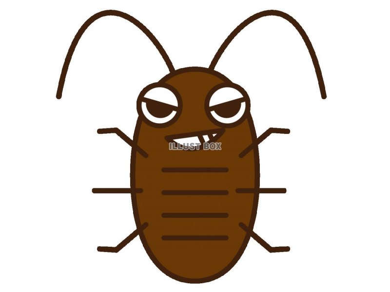 Таракан Megaloblatta blaberoides
