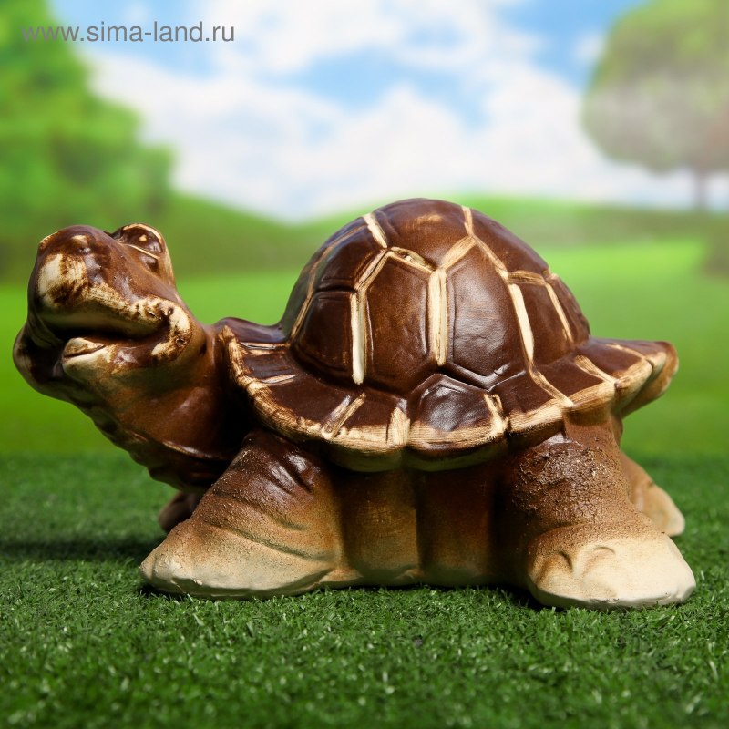 Сувениры из черепах