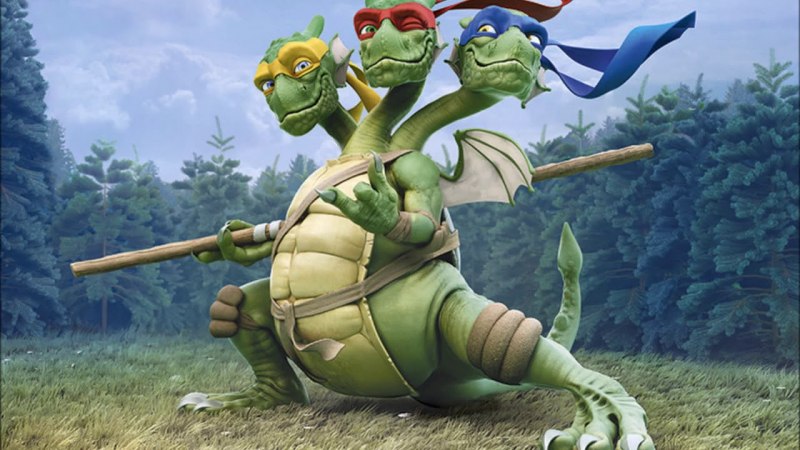 Testudo Hermanni