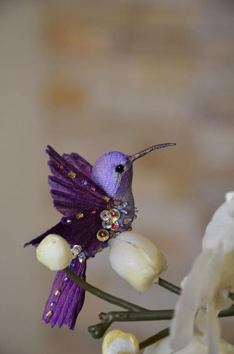Amethystinus, a, um;
