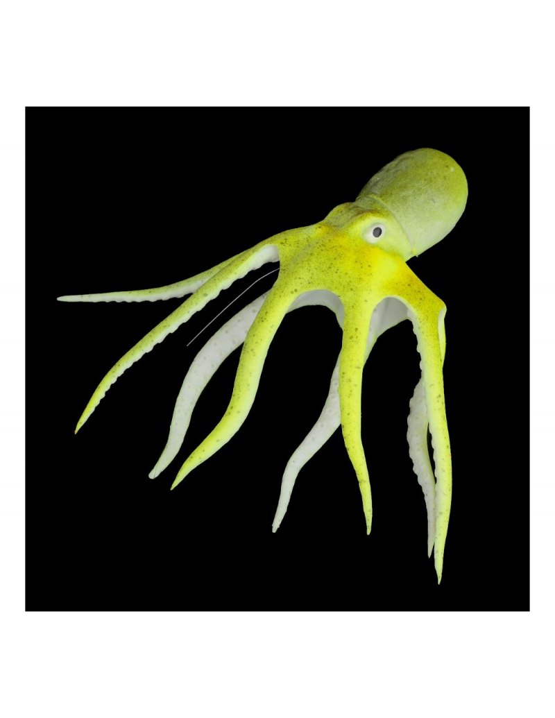 Дайвинг PNG