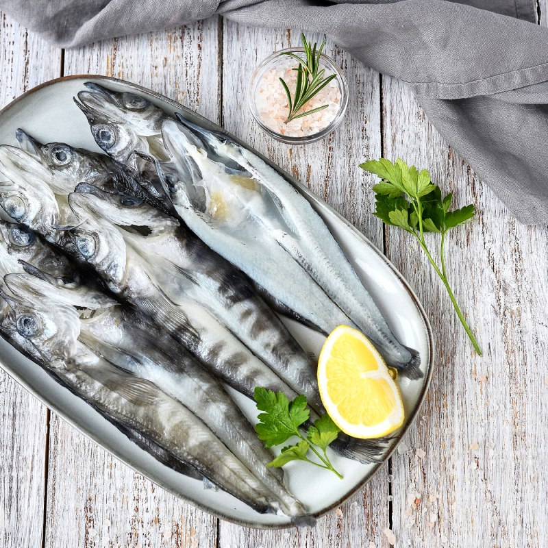 Китовая белокровка