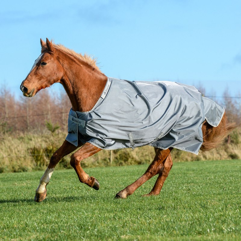 Equestrian Equipment