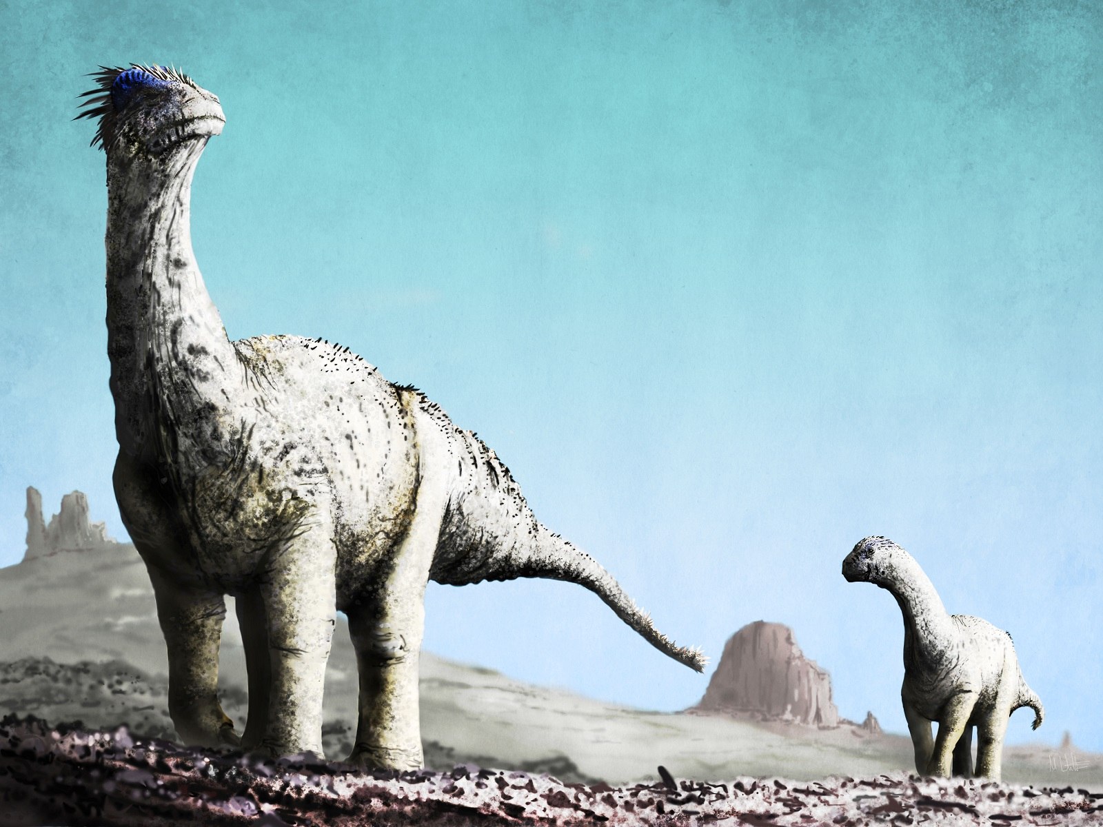 Динозавры звезда. Камаразавр палеоарт. Камаразавр Бронтозавр. Camarasaurus динозавр. Камаразавр динозавры Юрского периода.