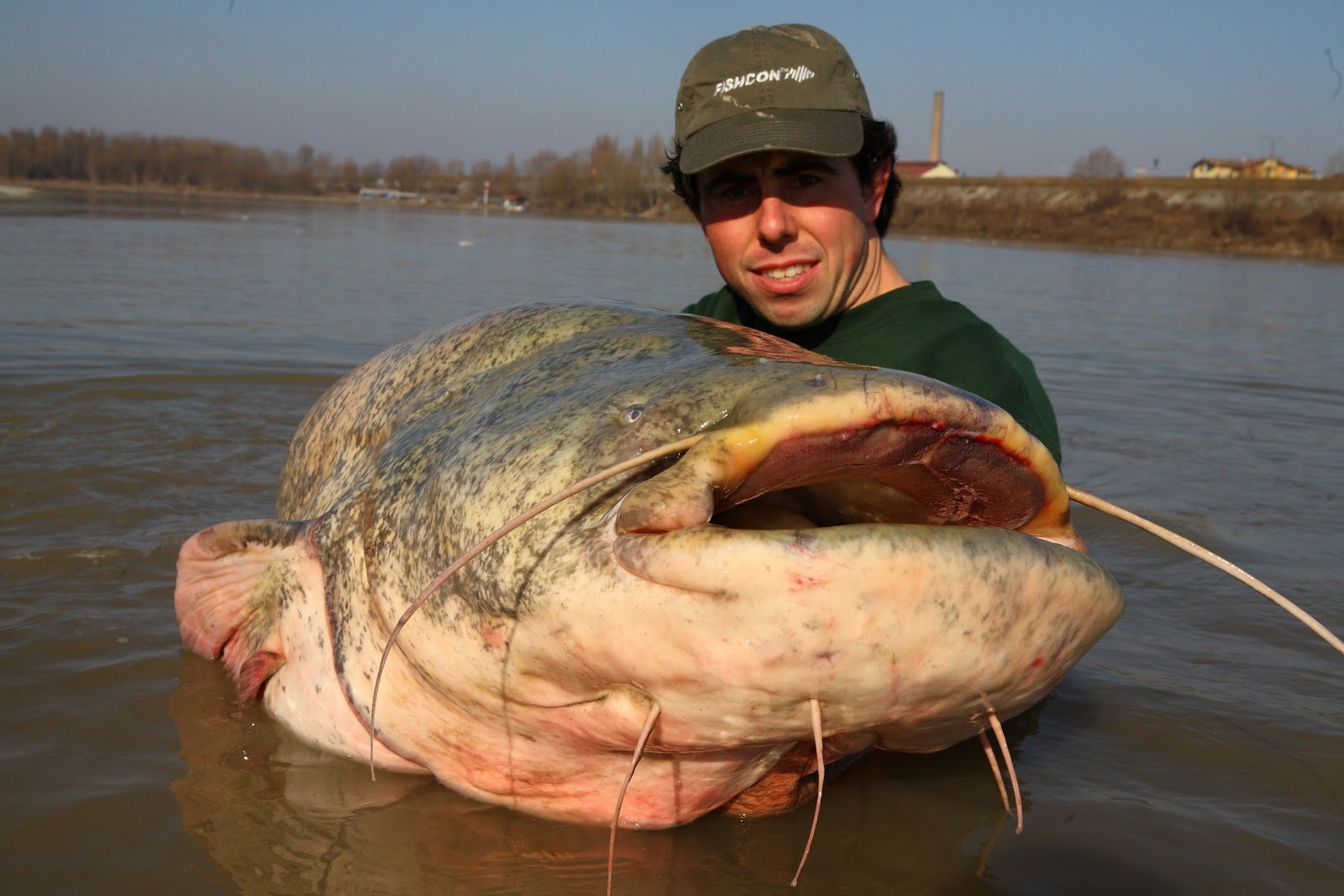 Самая большая рыба в калининградской области. Самый большой выловленный сом в мире.