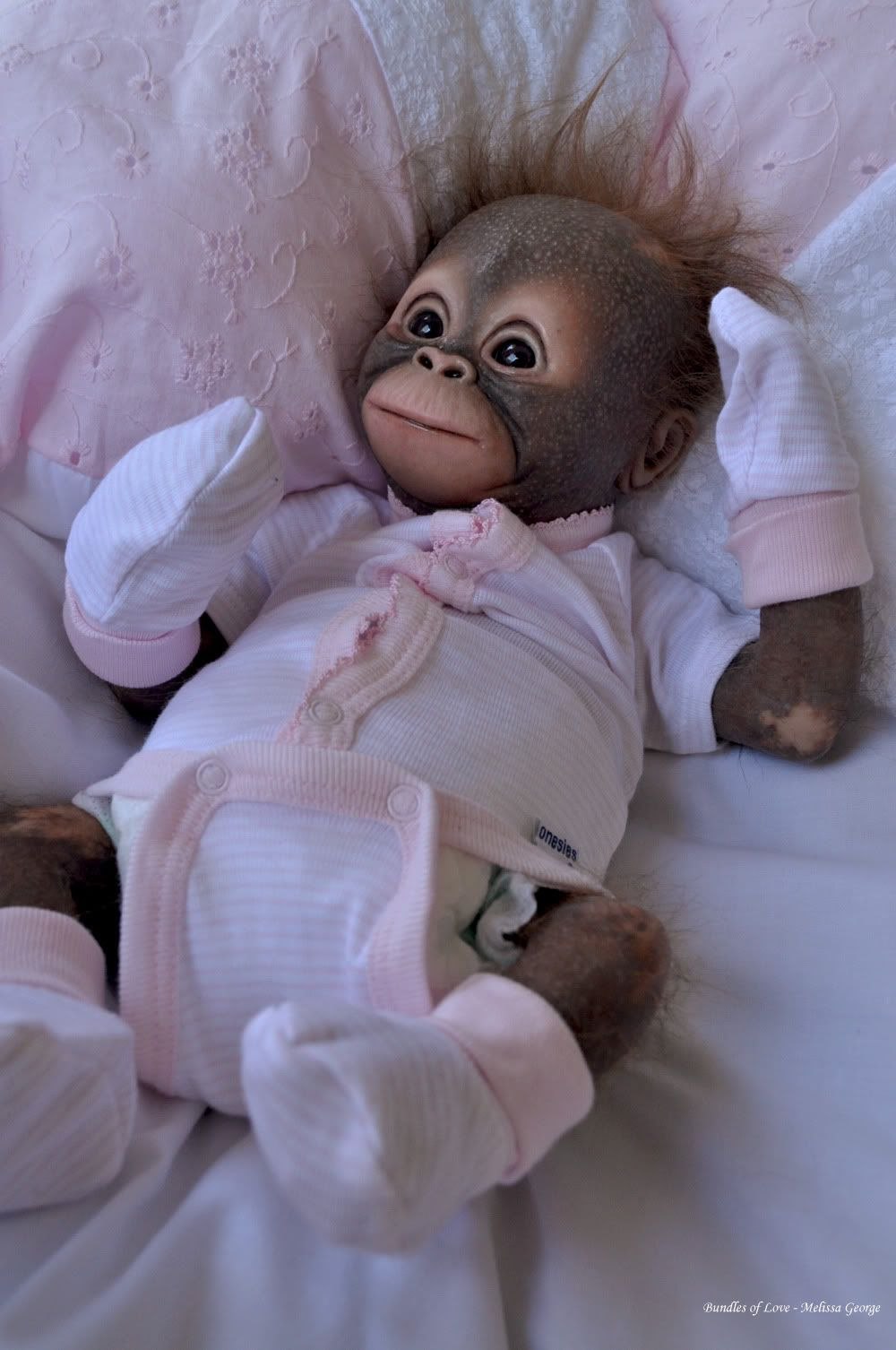 Новорожденный Шимпанзе
