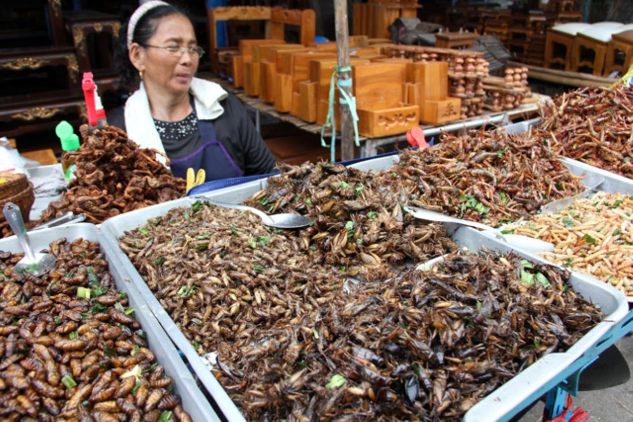 Termloto asia. Рынок в Тайланде с насекомыми. Тараканы в Тайланде. Жуки Тайланда. Жареные насекомые в Тайланде.